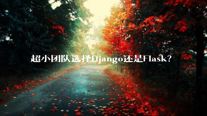 超小团队选择Django还是Flask？