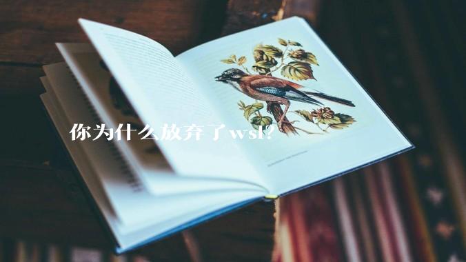你为什么放弃了wsl？