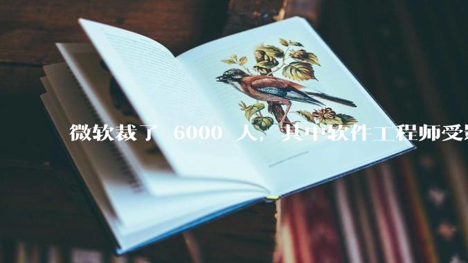微软裁了 6000 人，其中软件工程师受影响最大，这会给整个软件行业的人才流动带来怎样的连锁反应？