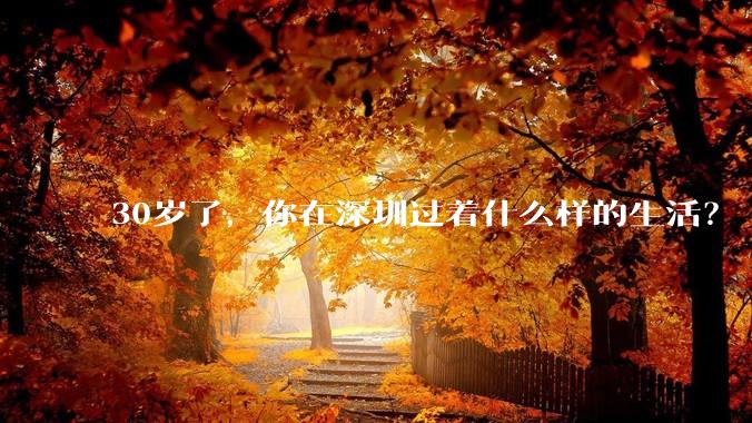 30岁了，你在深圳过着什么样的生活？